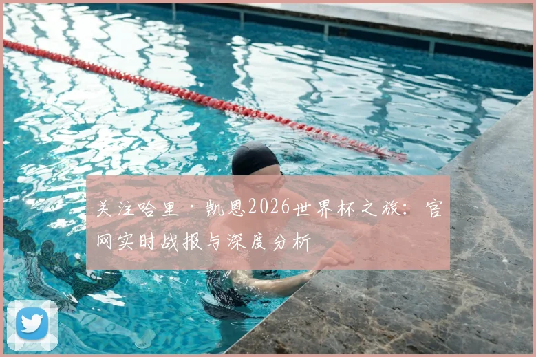 关注哈里·凯恩2026世界杯之旅:官网实时战报与深度分析