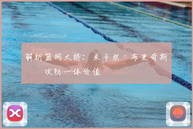解析篮网大桥：米卡尔·布里奇斯的攻防一体价值