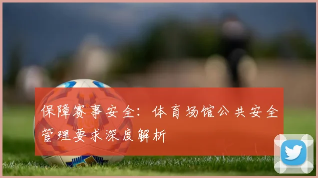 保障赛事安全：体育场馆公共安全管理要求深度解析